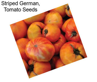 Striped German, Tomato Seeds