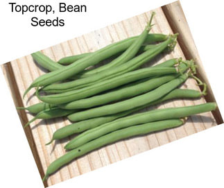 Topcrop, Bean Seeds