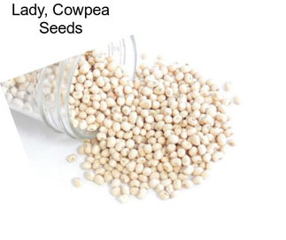 Lady, Cowpea Seeds