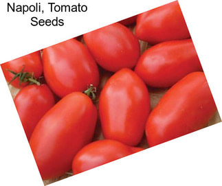 Napoli, Tomato Seeds