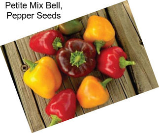 Petite Mix Bell, Pepper Seeds