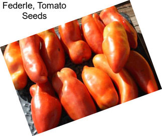 Federle, Tomato Seeds