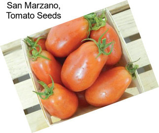 San Marzano, Tomato Seeds