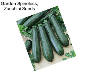 Garden Spineless, Zucchini Seeds