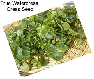 True Watercress, Cress Seed