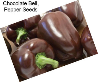 Chocolate Bell, Pepper Seeds