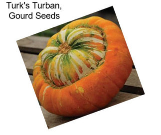Turk\'s Turban, Gourd Seeds