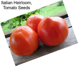 Italian Heirloom, Tomato Seeds