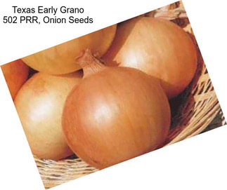 Texas Early Grano 502 PRR, Onion Seeds