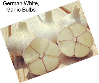 German White, Garlic Bulbs