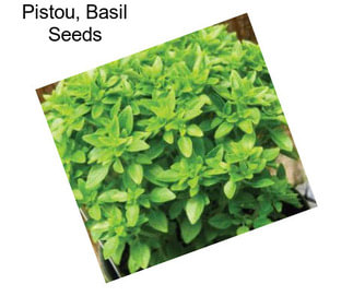 Pistou, Basil Seeds