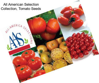 All American Selection Collection, Tomato Seeds