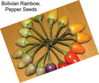 Bolivian Rainbow, Pepper Seeds