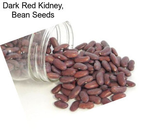 Dark Red Kidney, Bean Seeds