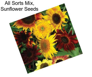 All Sorts Mix, Sunflower Seeds