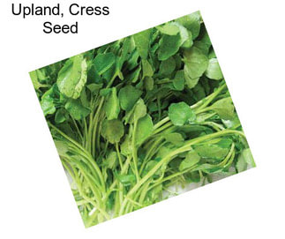 Upland, Cress Seed