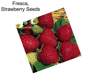 Fresca, Strawberry Seeds