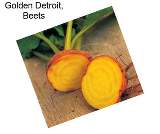 Golden Detroit, Beets