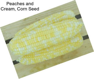 Peaches and Cream, Corn Seed