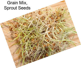 Grain Mix, Sprout Seeds