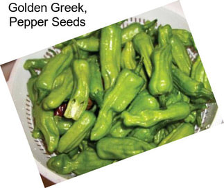 Golden Greek, Pepper Seeds