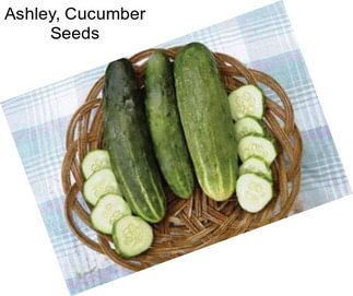 Ashley, Cucumber Seeds