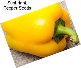 Sunbright, Pepper Seeds