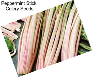 Peppermint Stick, Celery Seeds