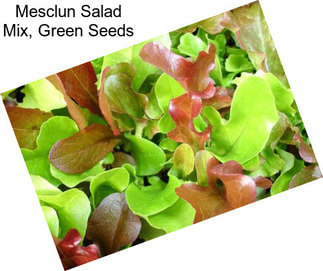 Mesclun Salad Mix, Green Seeds