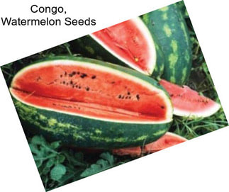 Congo, Watermelon Seeds