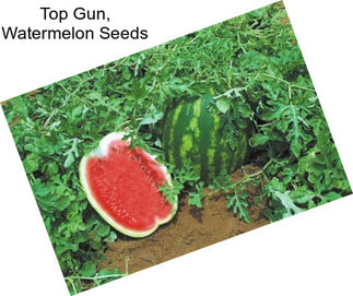 Top Gun, Watermelon Seeds