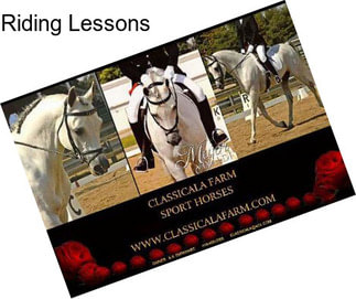 Riding Lessons