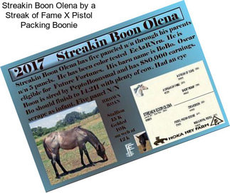 Streakin Boon Olena by a Streak of Fame X Pistol Packing Boonie