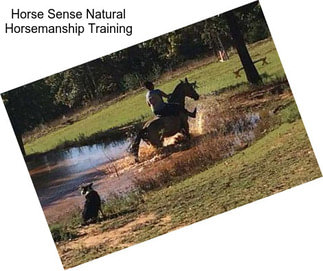 Horse Sense Natural Horsemanship Training