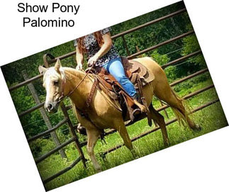 Show Pony Palomino