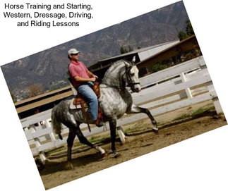 Horse Training and Starting, Western, Dressage, Driving, and Riding Lessons