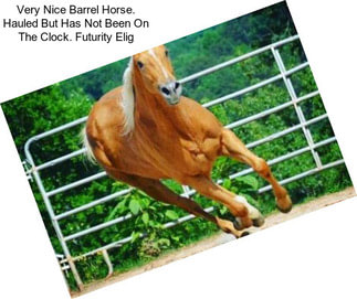 Very Nice Barrel Horse. Hauled But Has Not Been On The Clock. Futurity Elig