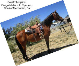 Sold/Echception: Congratulations to Piper and Cheri of Mendocino, Ca