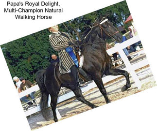 Papa\'s Royal Delight, Multi-Champion \