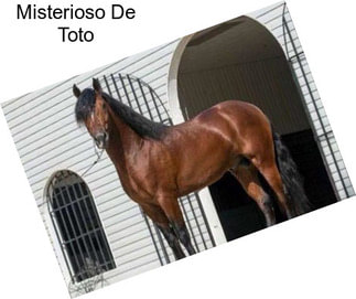 Misterioso De Toto