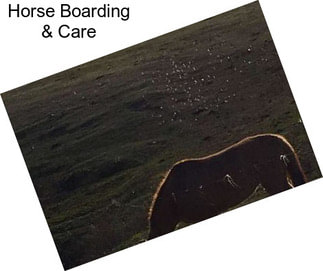 Horse Boarding & Care