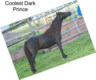 Coolest Dark Prince