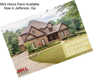 Mini Horse Farm Available Now in Jefferson, Ga