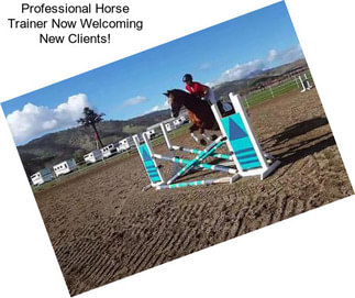 Professional Horse Trainer Now Welcoming New Clients!