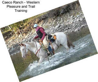Caeco Ranch - Western Pleasure and Trail Training