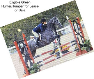 Eligible Green Hunter/Jumper for Lease or Sale