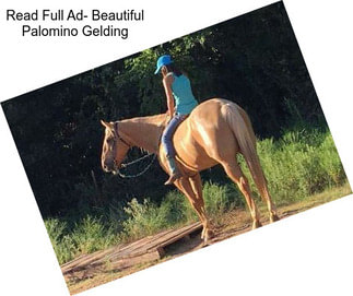 Read Full Ad- Beautiful Palomino Gelding