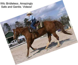 Wtc Bridleless. Amazingly Safe and Gentle. Videos!