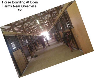 Horse Boarding At Eden Farms Near Greenville, Sc
