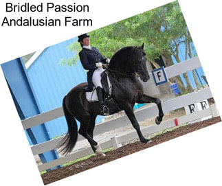 Bridled Passion Andalusian Farm